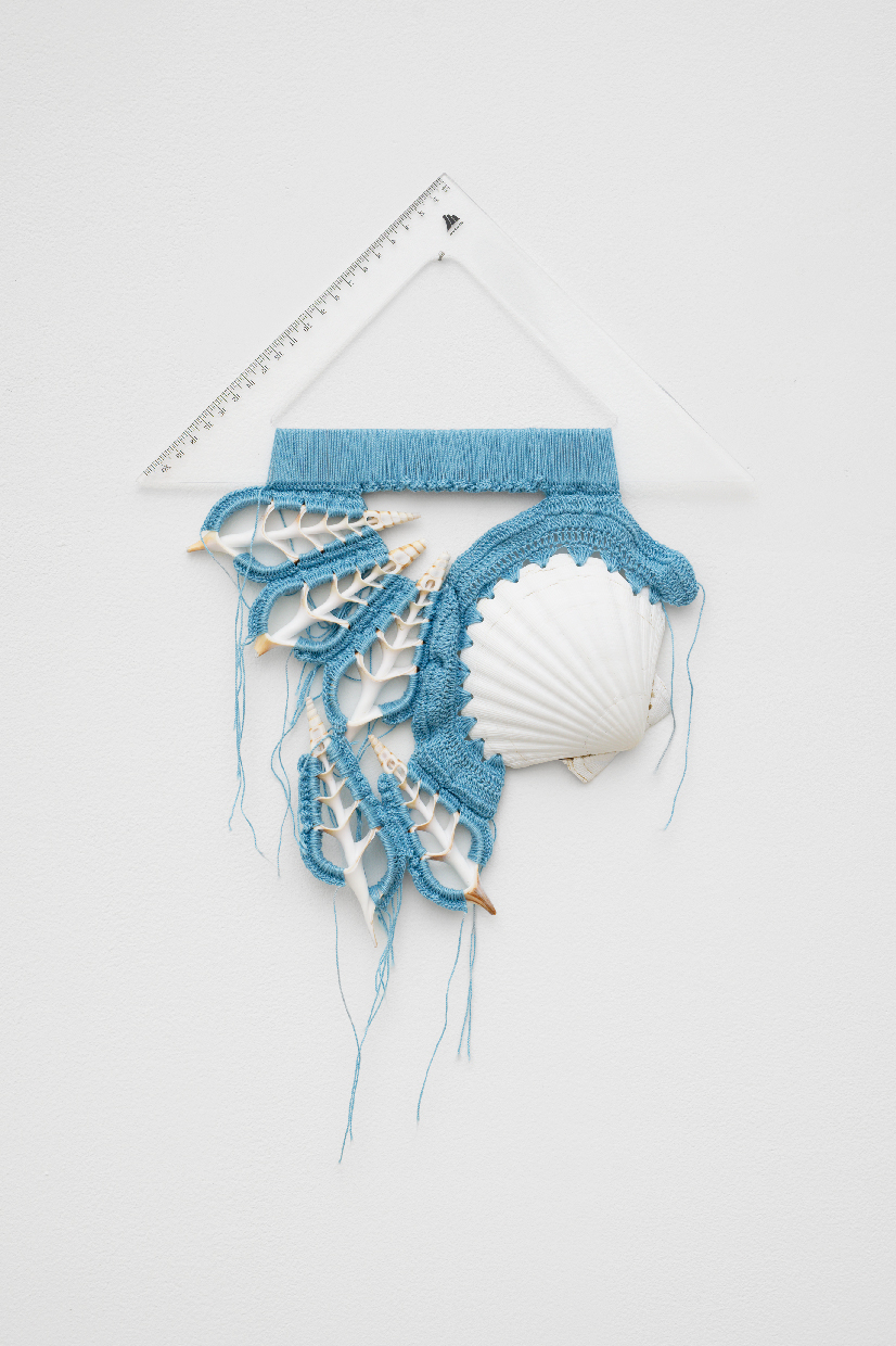 querre, coquillage, tranches de coquillages crochets bleu, 2023