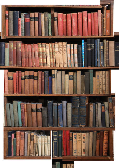 Vasarely Go Home (My late grandmother's bookshelf, Budapest 2018), 2018