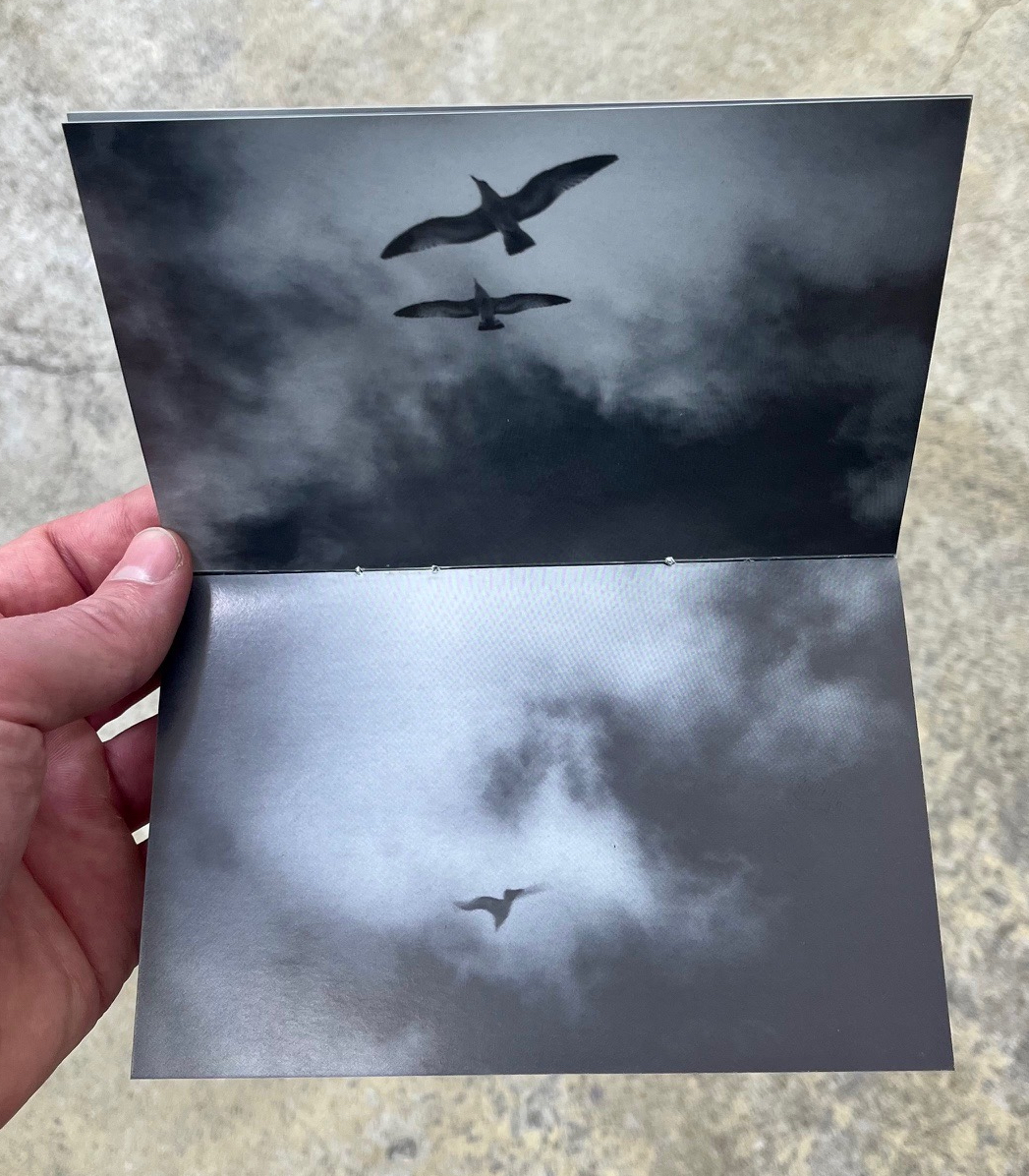 SKIES (and what's above)